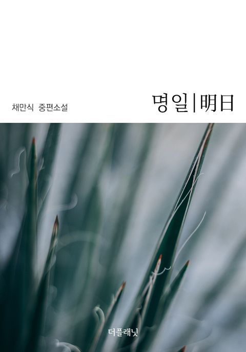 명일 표지 이미지