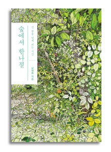 숲에서 한나절