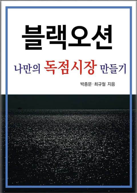 블랙오션 나만의 독점시장 만들기 표지 이미지