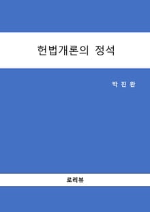 헌법개론의 정석