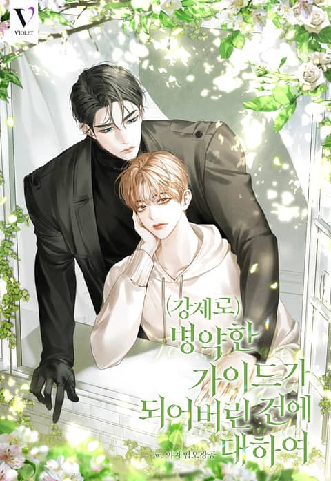 야채혐오광공