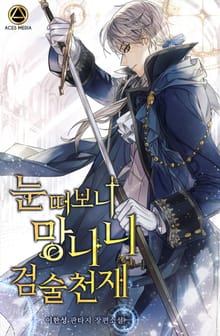 눈떠보니 망나니 검술천재