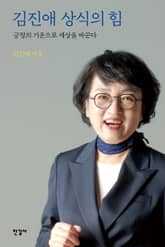 김진애 상식의 힘 표지 이미지