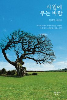 사월에 부는 바람