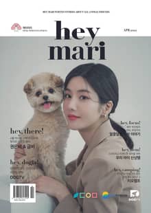 헤이마리 hey mari 2022.4