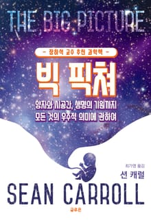 빅 픽쳐