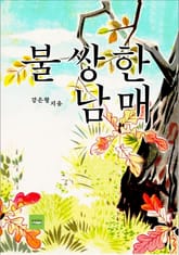 불쌍한 남매 표지 이미지