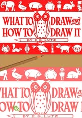 What to draw and how to draw it 표지 이미지