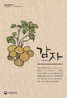 감자