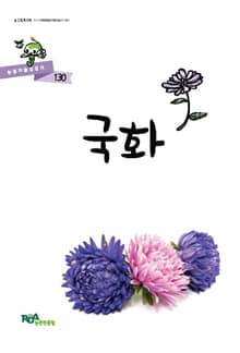 국화