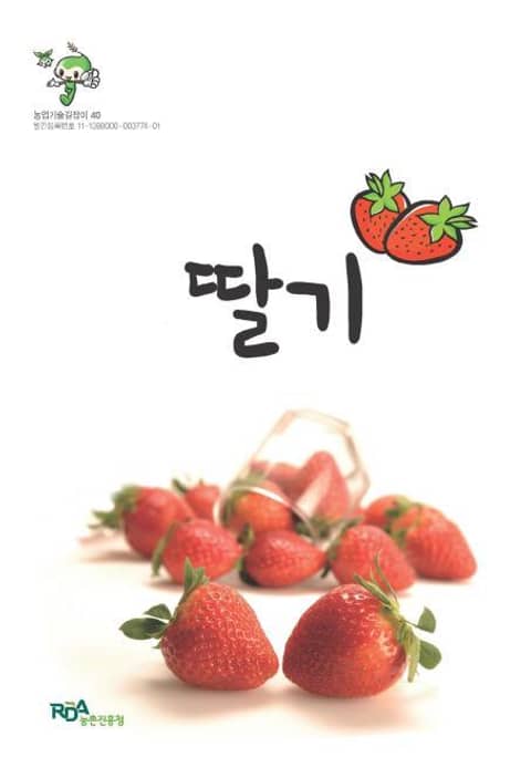 딸기 표지 이미지