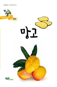 망고
