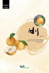 배 표지 이미지