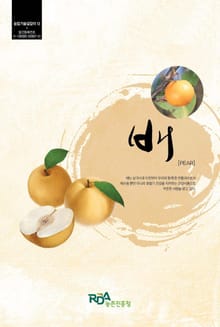 배