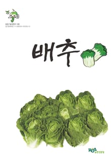 배추