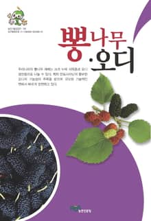 뽕나무·오디