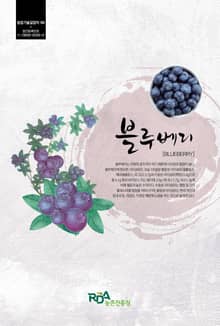 블루베리