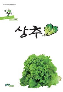 상추