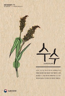 수수