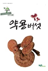 약용버섯 표지 이미지