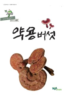 약용버섯