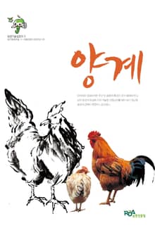 양계