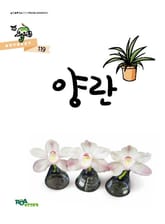 양란 표지 이미지