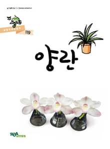 양란