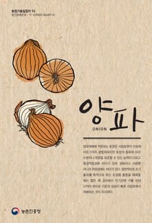 양파