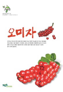 오미자