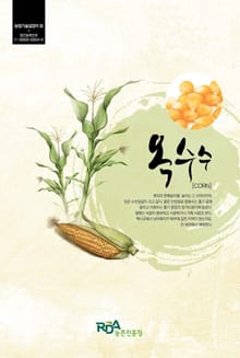 옥수수
