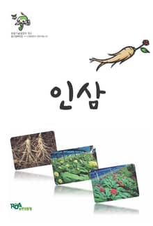 인삼