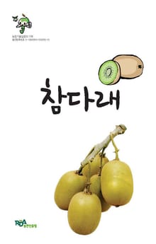 참다래