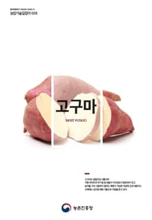고구마
