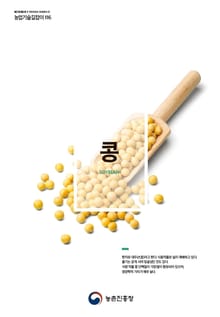 콩