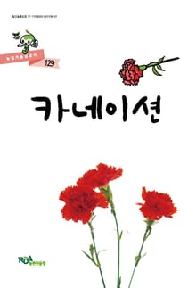 카네이션