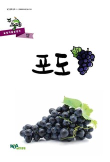 포도