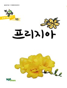 프리지아