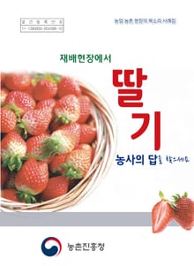 딸기