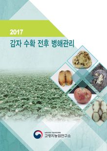 감자 수확 전후 병해관리