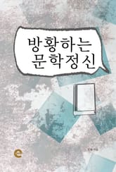 방황하는 문학정신 표지 이미지
