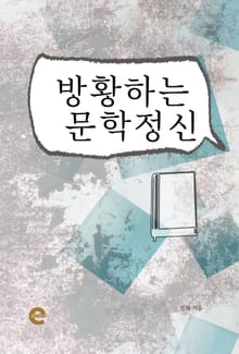 방황하는 문학정신