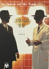 그림자와 섬광 표지 이미지