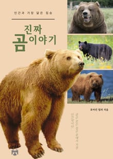 진짜 곰 이야기