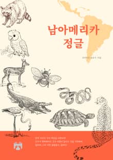 남아메리카 정글
