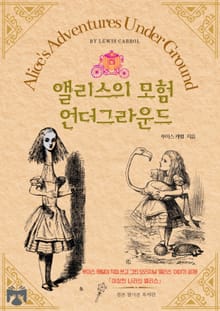 앨리스의 모험 언더그라운드