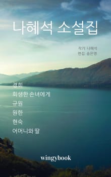 나혜석 소설집