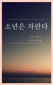 소년은 자란다
