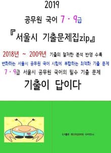 2019 공무원국어 7,9급 서울시 기출문제집ZIP