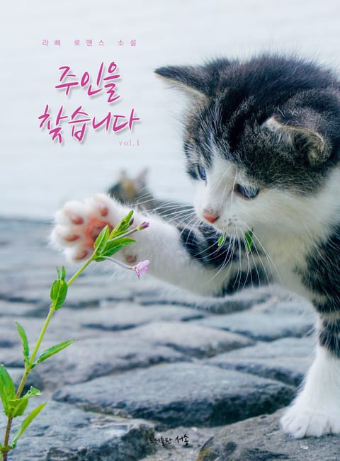 주인을 찾습니다.